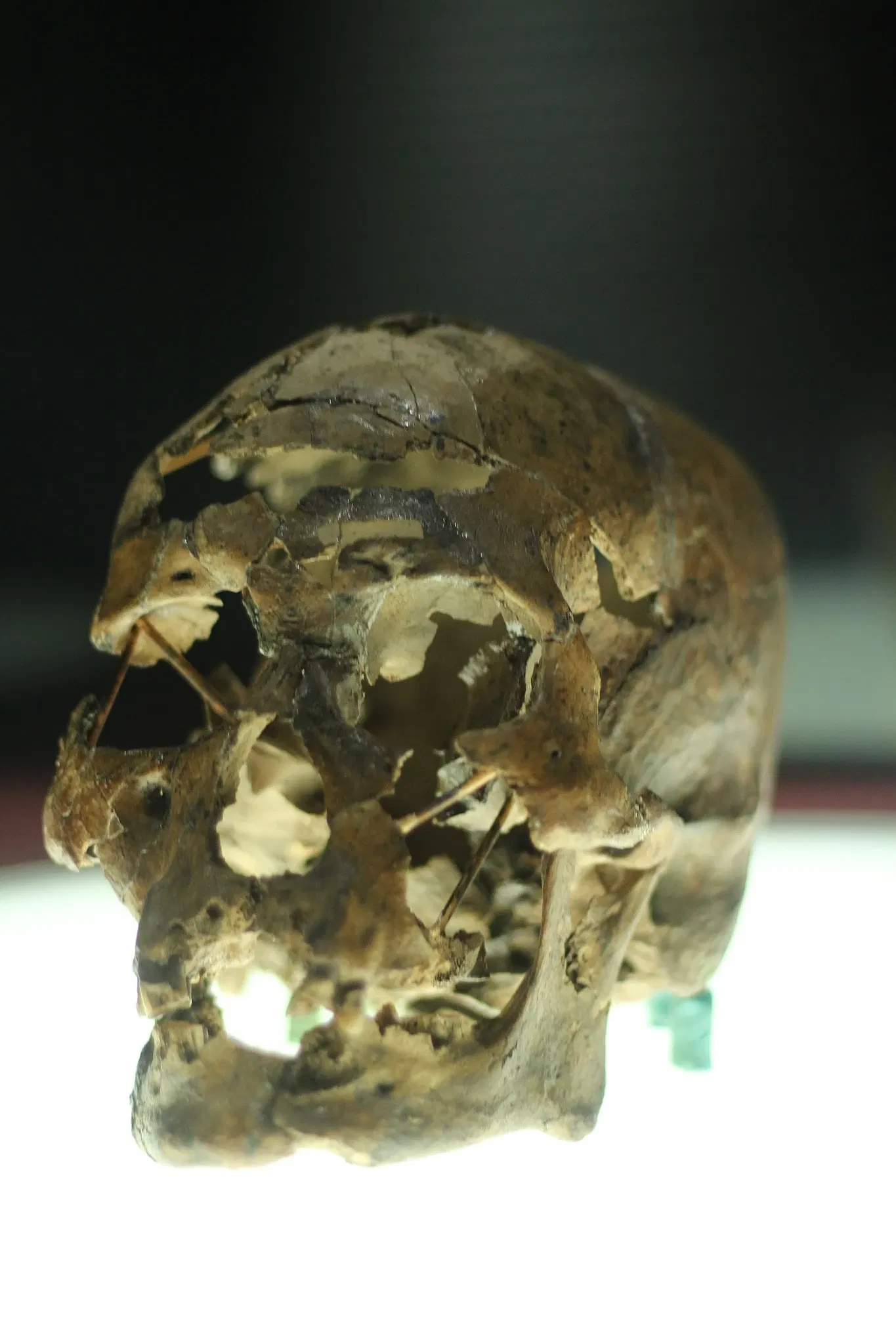 Museo del Hombre Americano