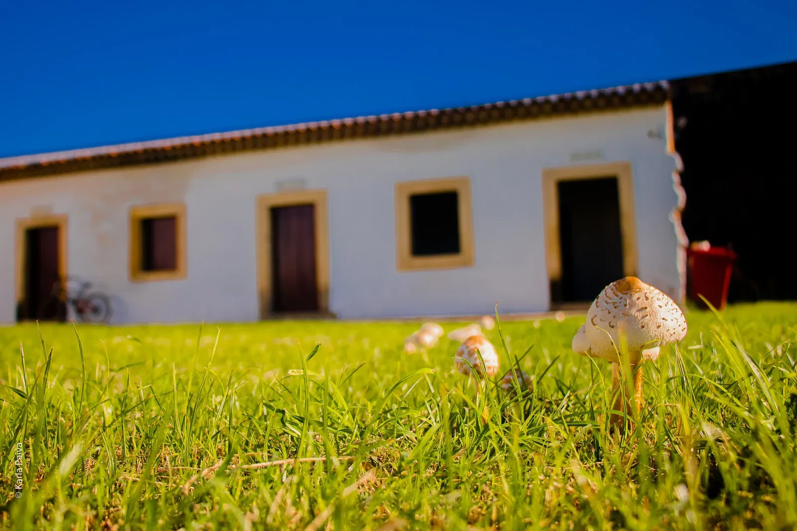 Fort of Santa Catarina