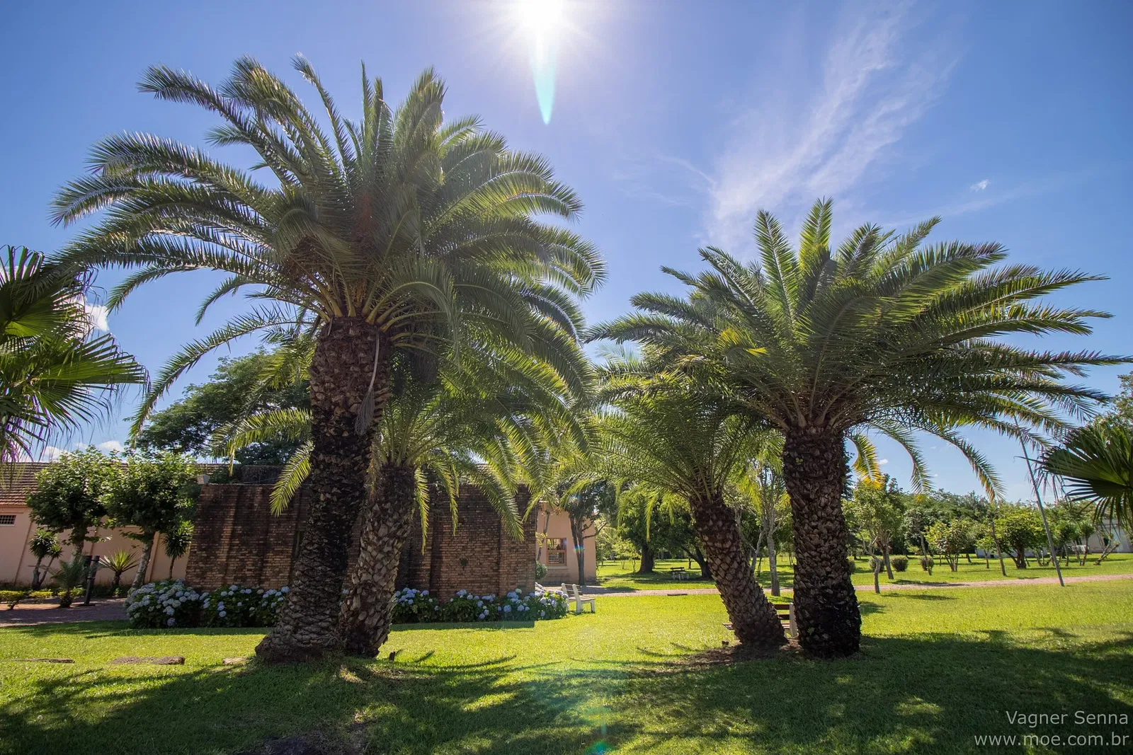 Museu Estadual do Carvão