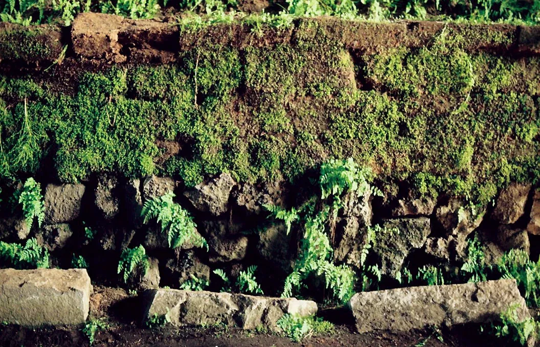 The Commonwealth farm