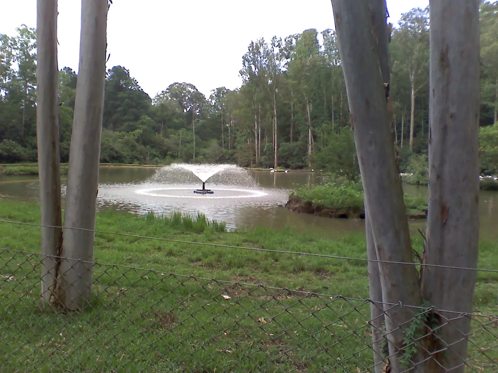 Park Zoo Sapucaia do Sul