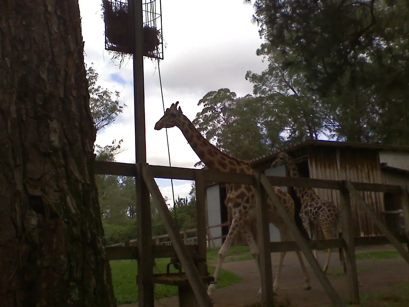 Park Zoo Sapucaia do Sul