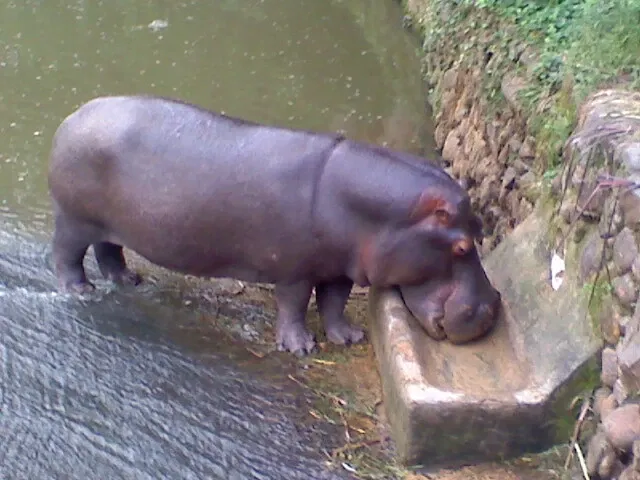 Park Zoo Sapucaia do Sul
