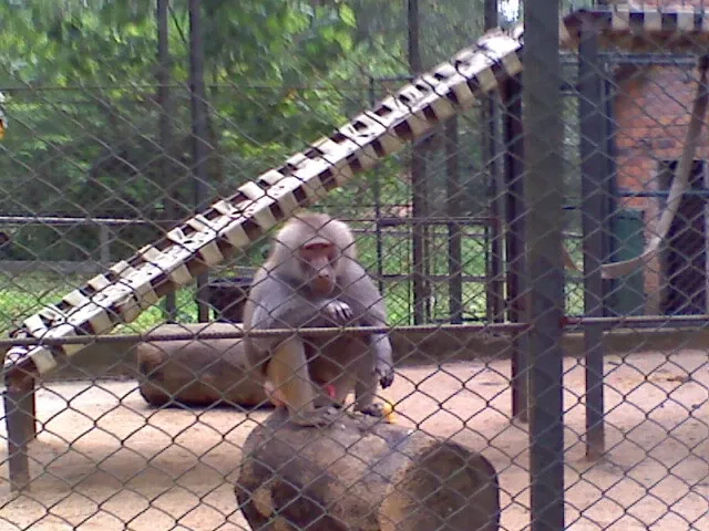 Park Zoo Sapucaia do Sul