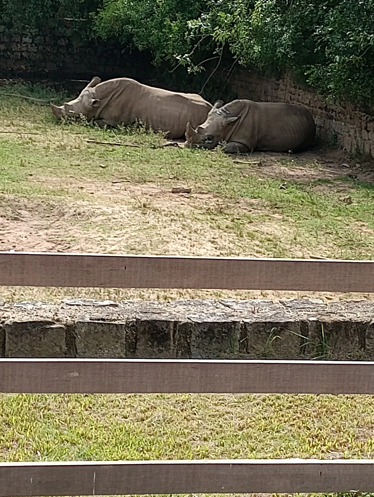 Park Zoo Sapucaia do Sul
