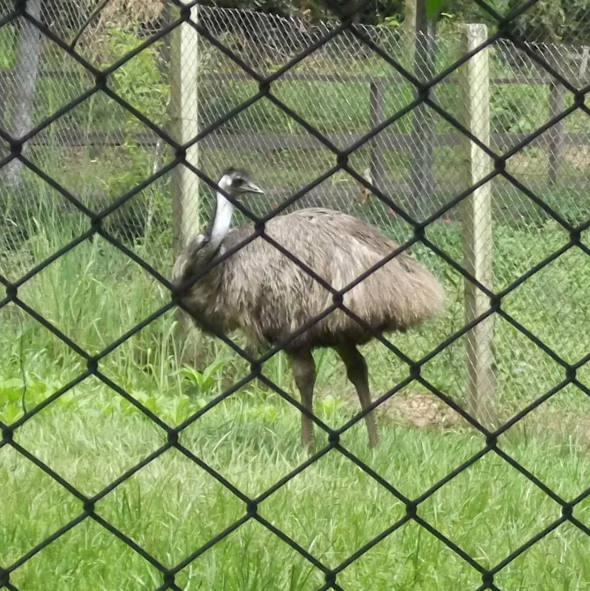 Park Zoo Sapucaia do Sul