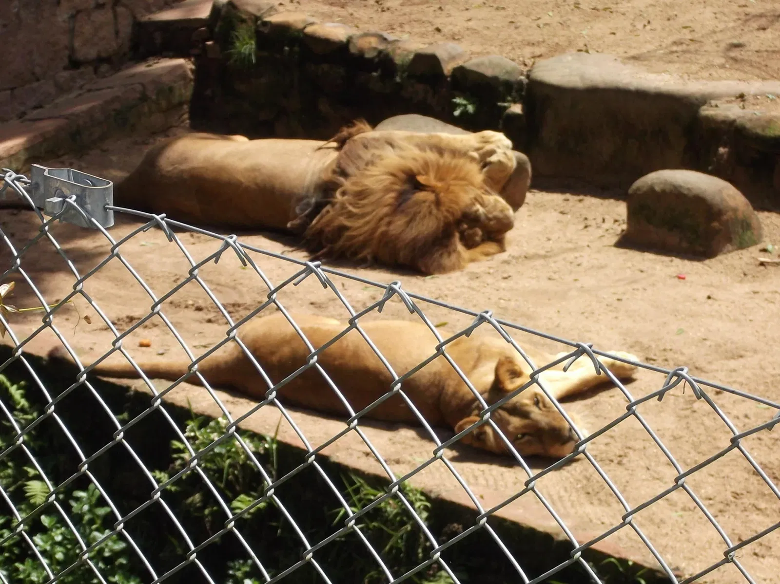 Park Zoo Sapucaia do Sul