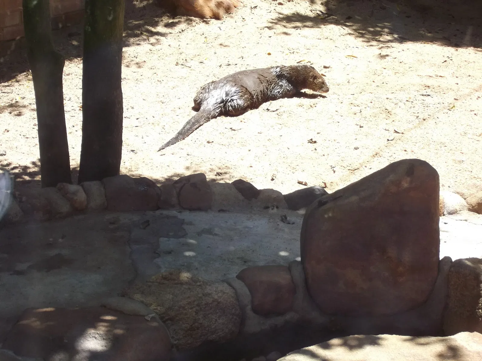 Park Zoo Sapucaia do Sul