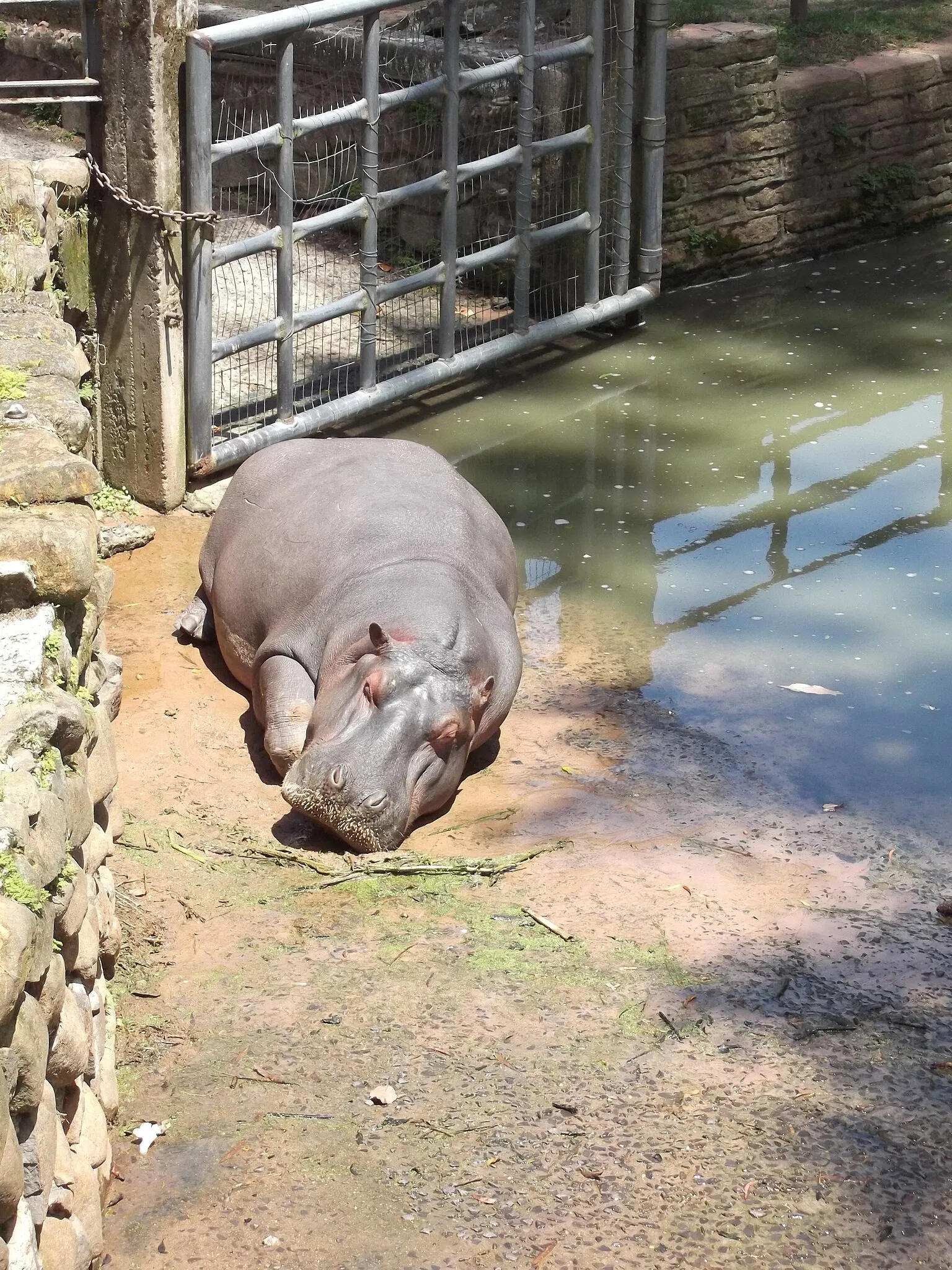 Park Zoo Sapucaia do Sul