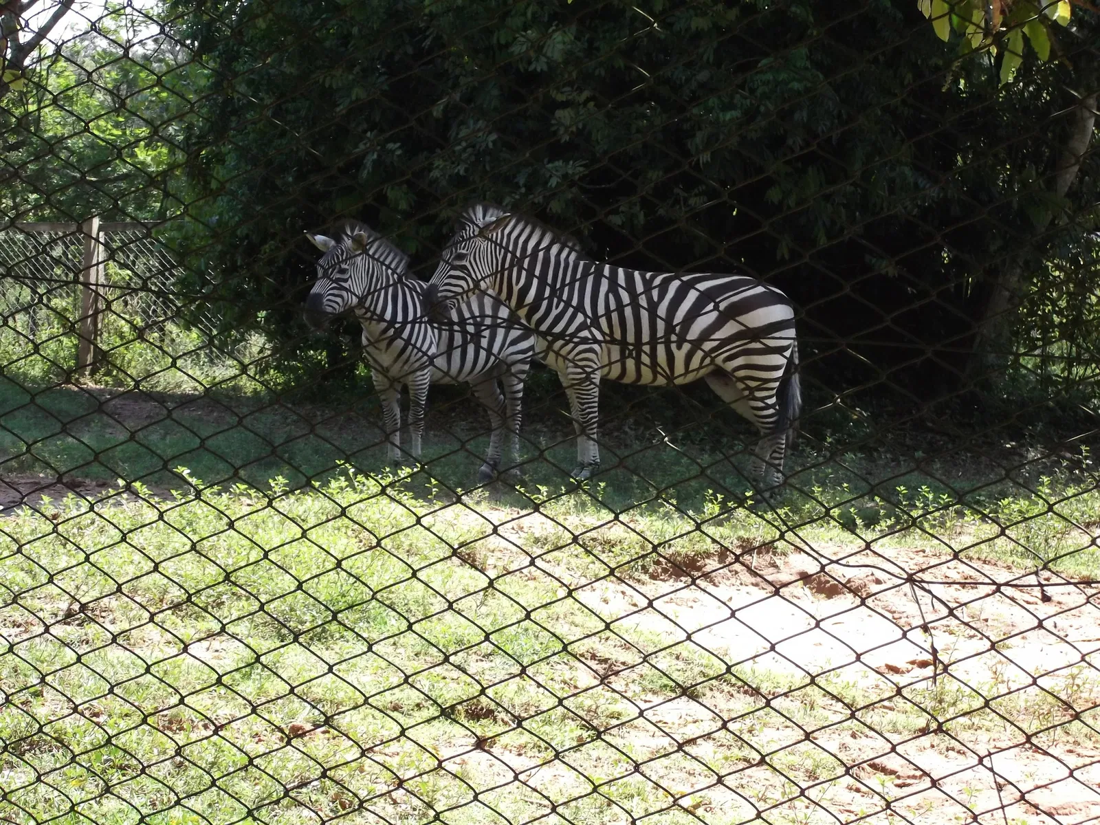 Park Zoo Sapucaia do Sul