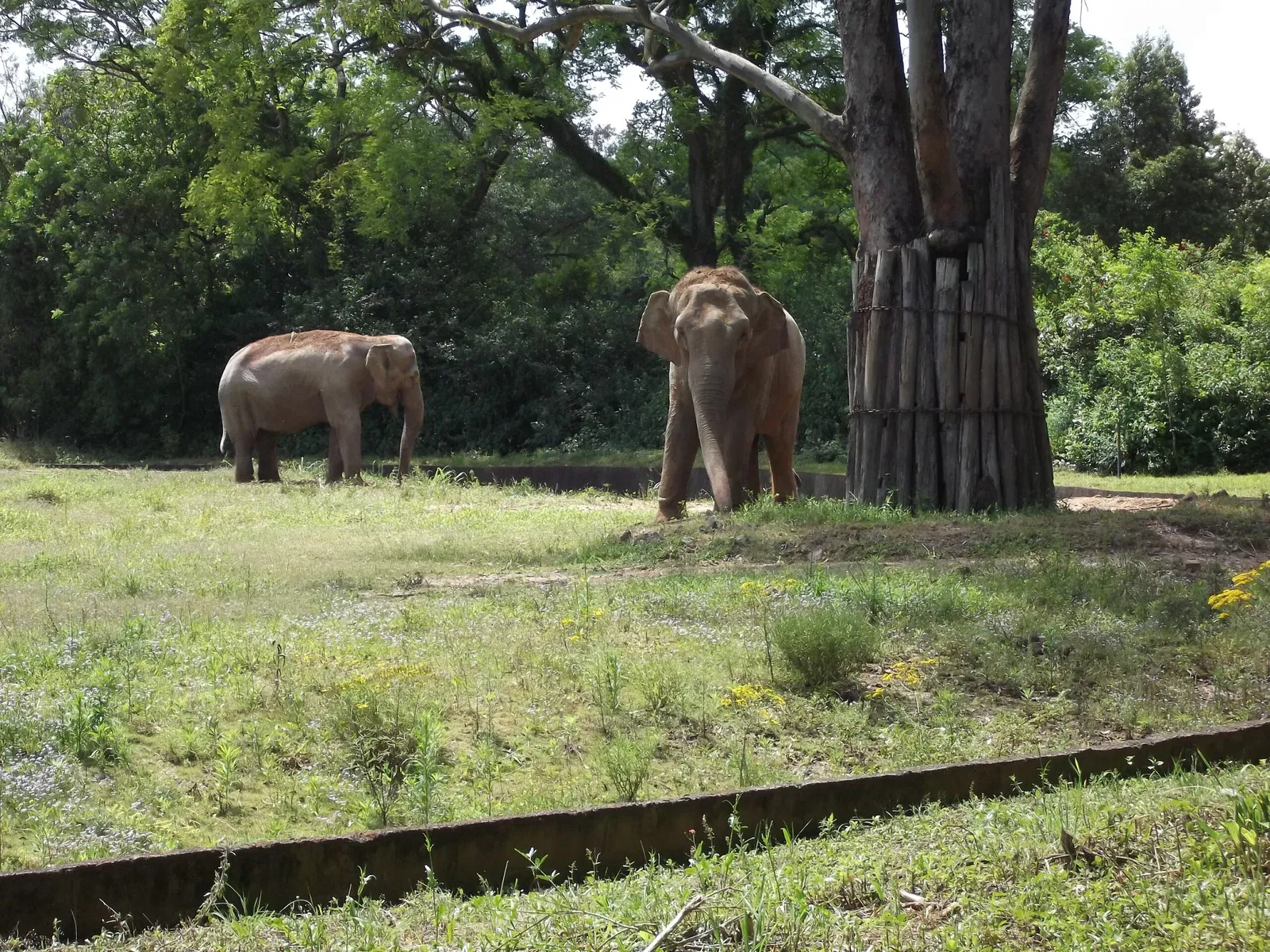 Park Zoo Sapucaia do Sul