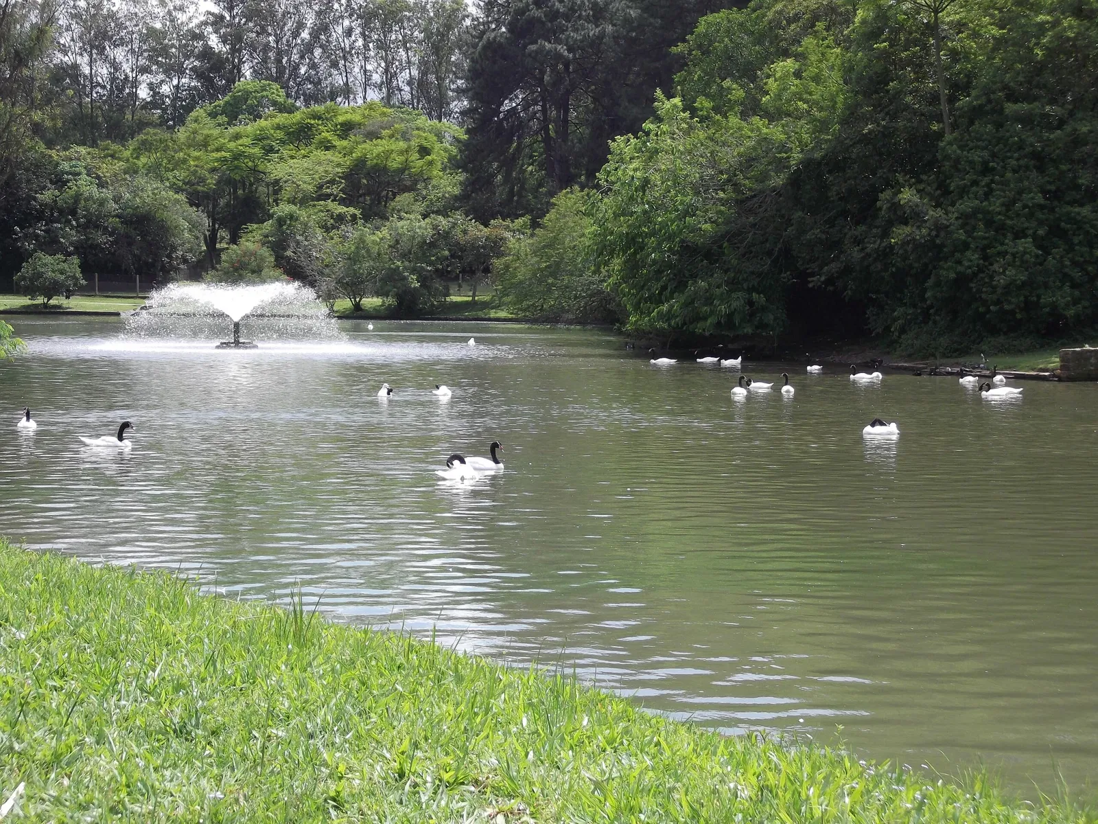 Park Zoo Sapucaia do Sul
