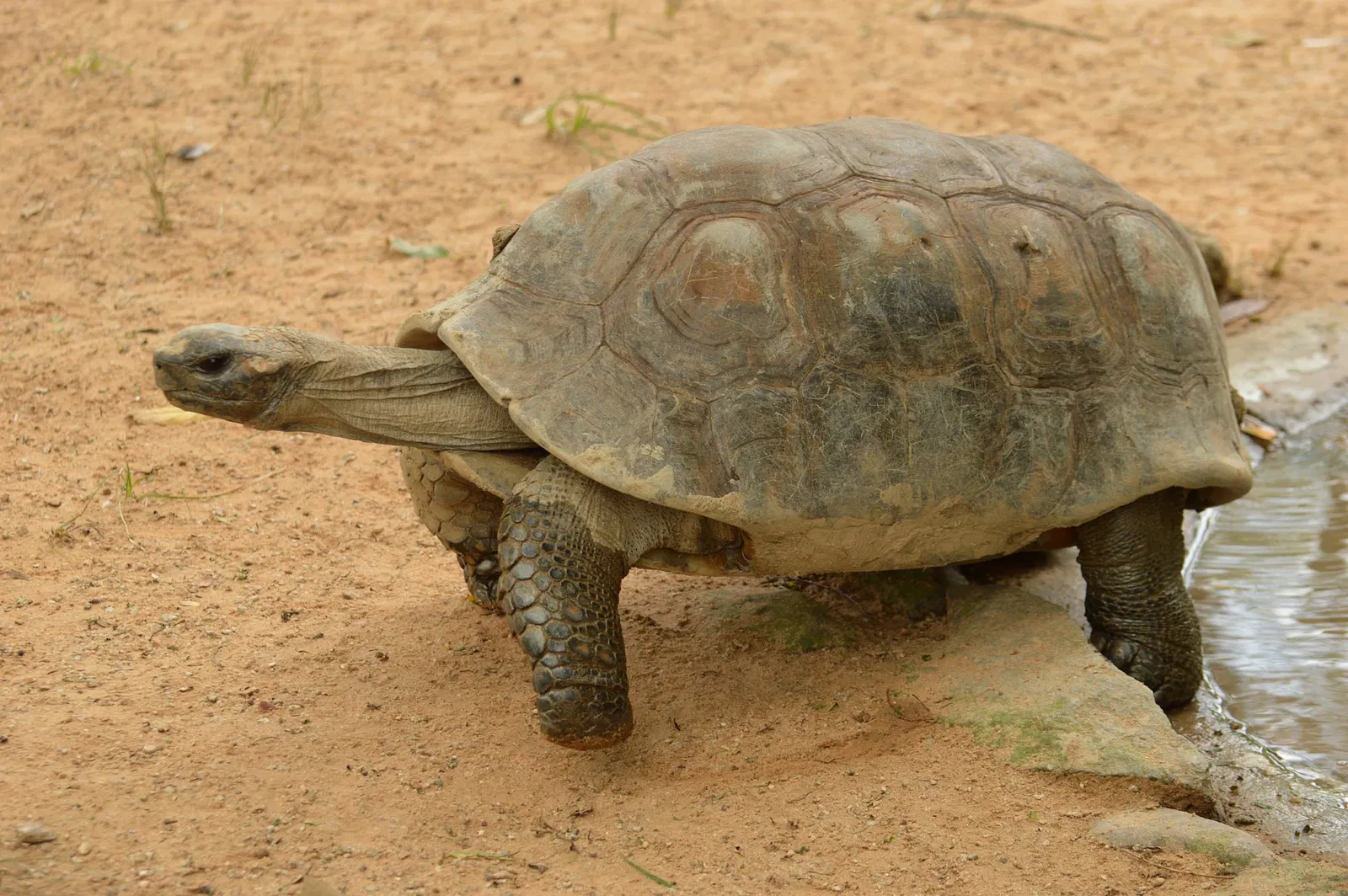 Park Zoo Sapucaia do Sul