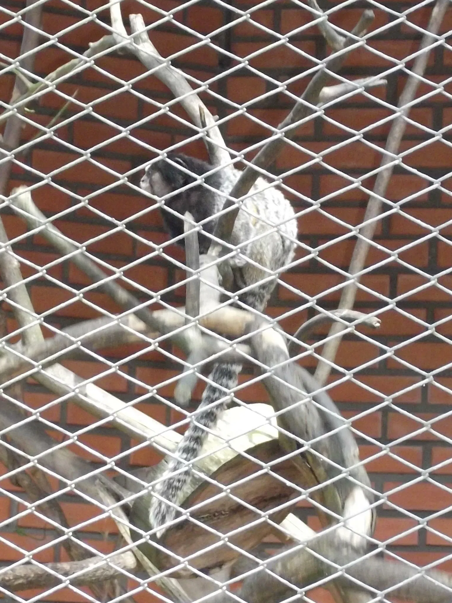 Park Zoo Sapucaia do Sul