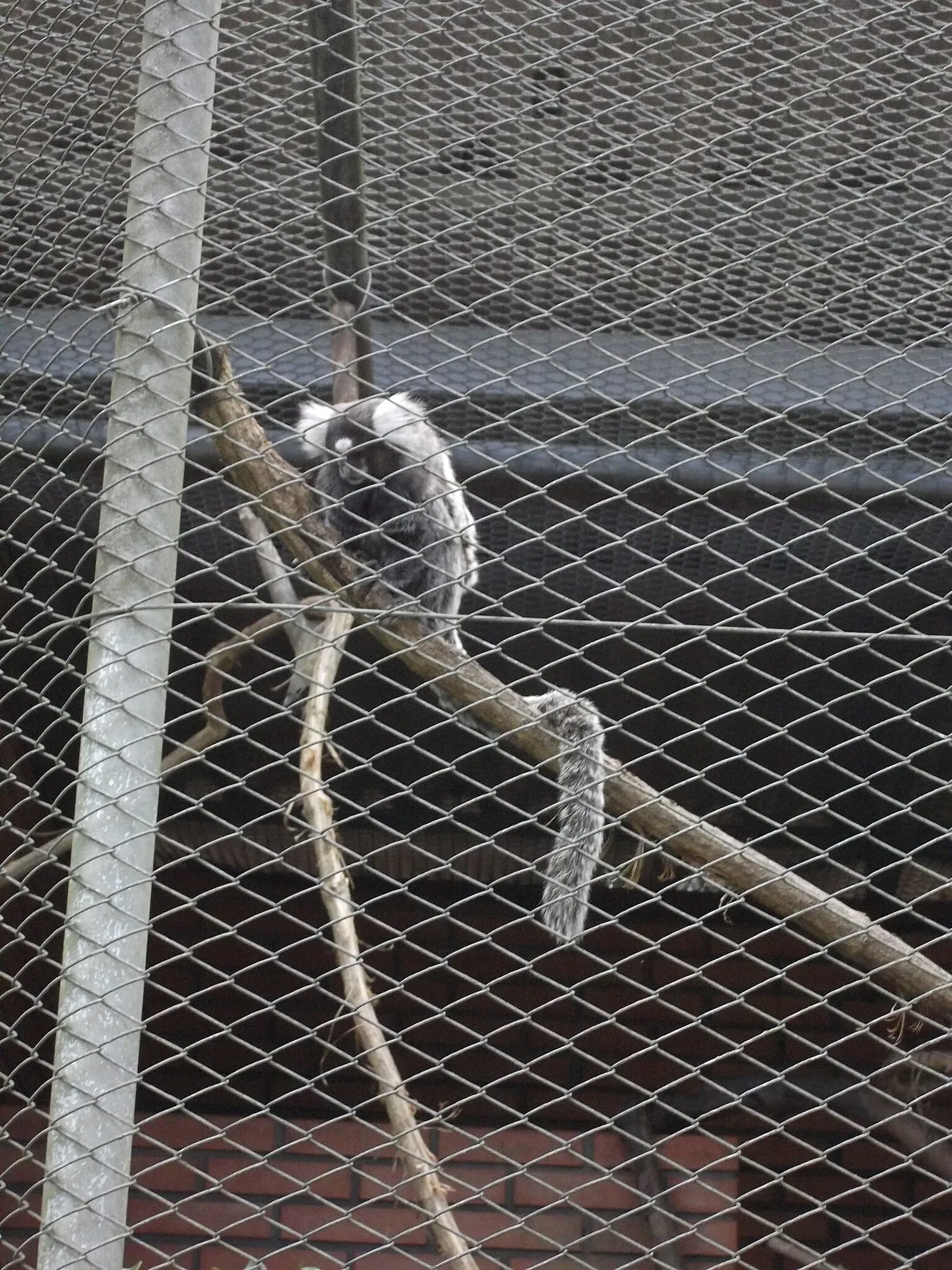 Park Zoo Sapucaia do Sul