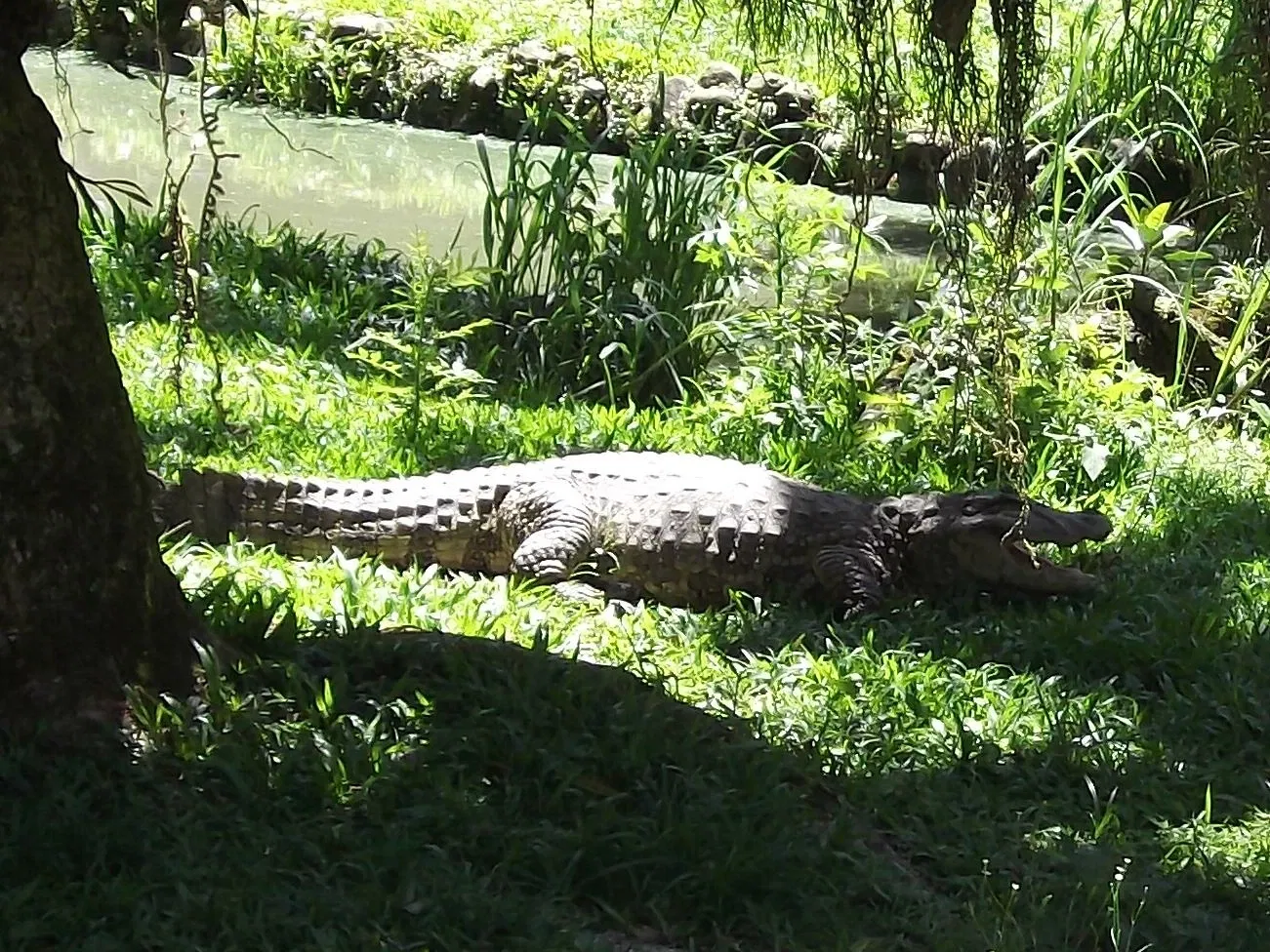 Park Zoo Sapucaia do Sul