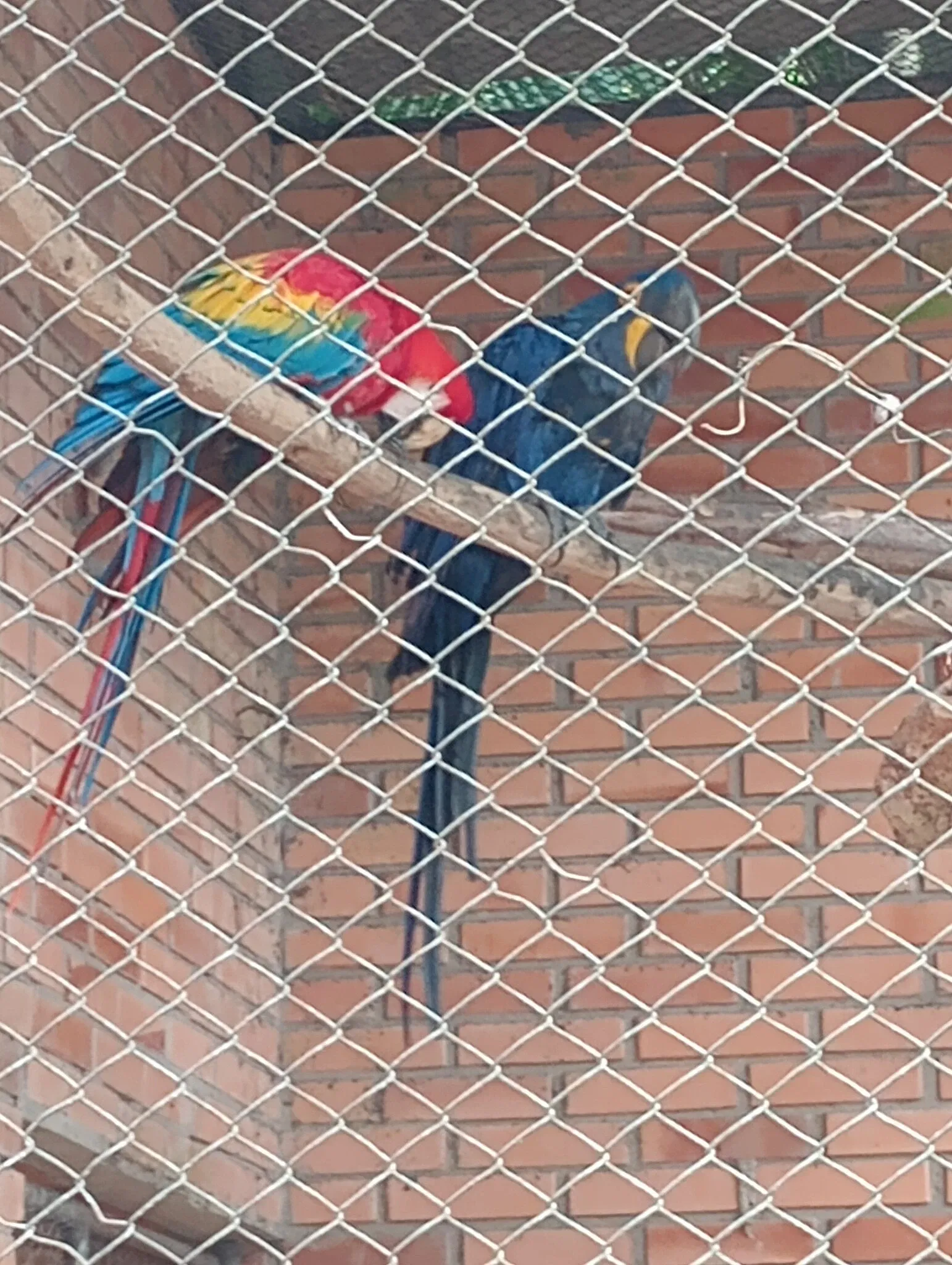 Park Zoo Sapucaia do Sul