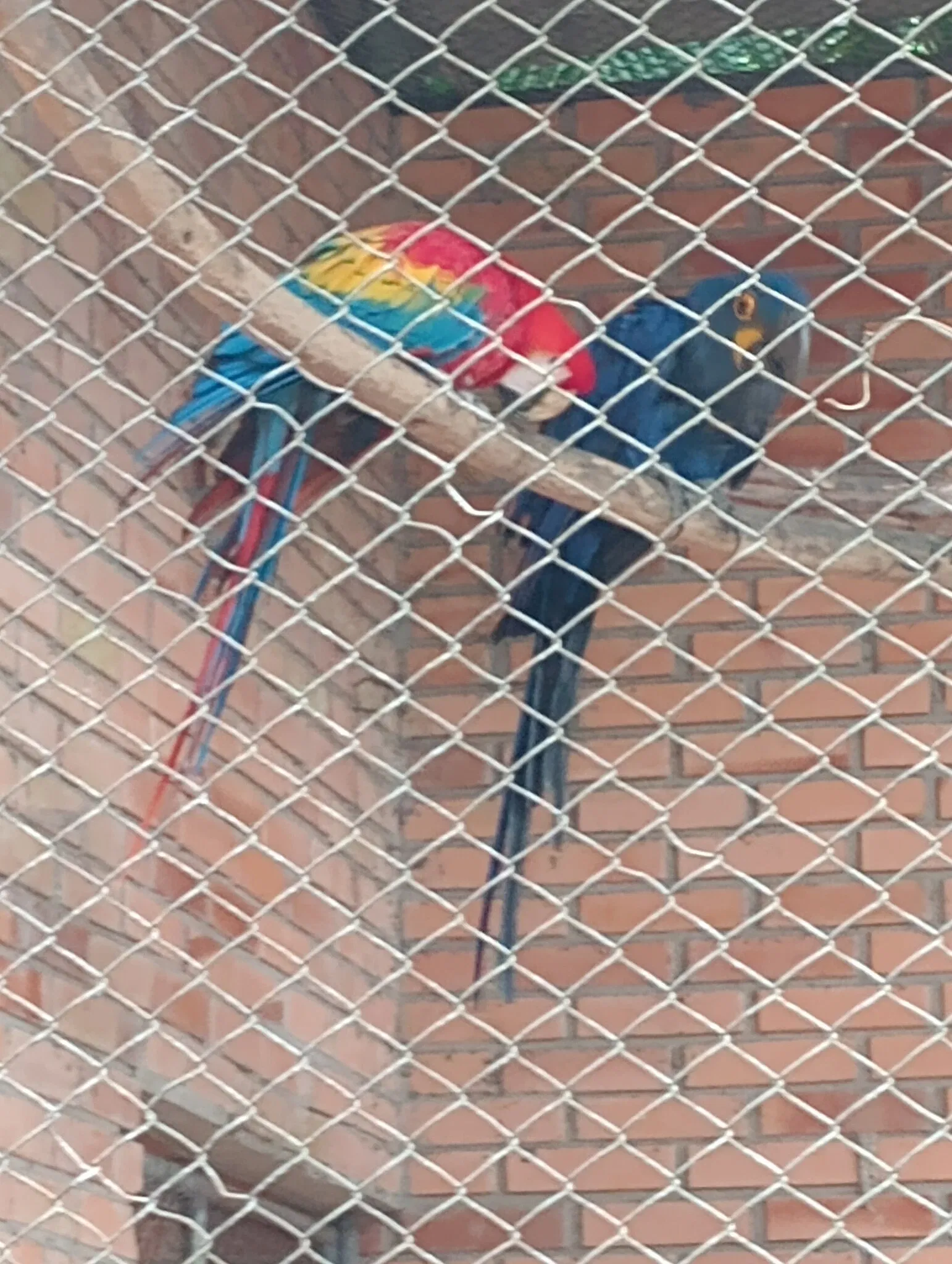 Park Zoo Sapucaia do Sul