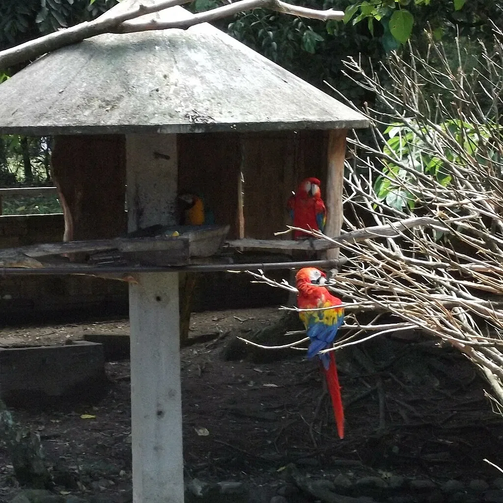 Park Zoo Sapucaia do Sul