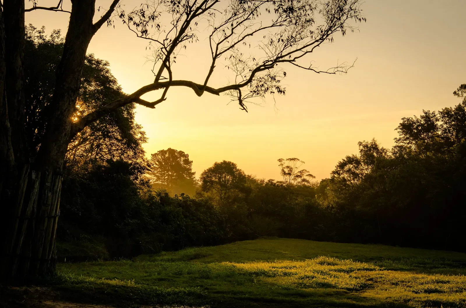 Park Zoo Sapucaia do Sul