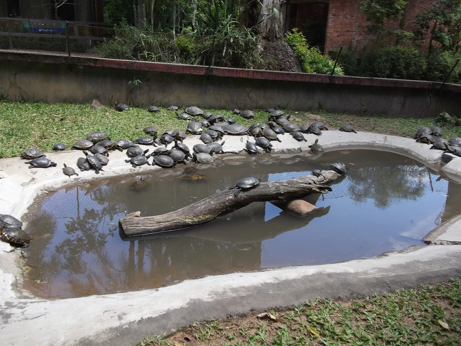Park Zoo Sapucaia do Sul