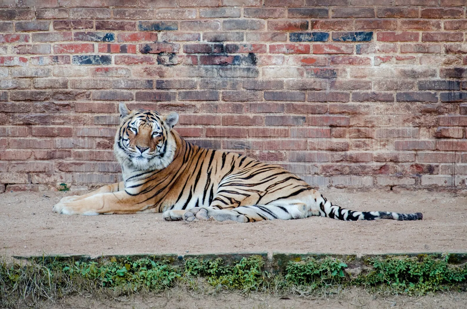 Park Zoo Sapucaia do Sul