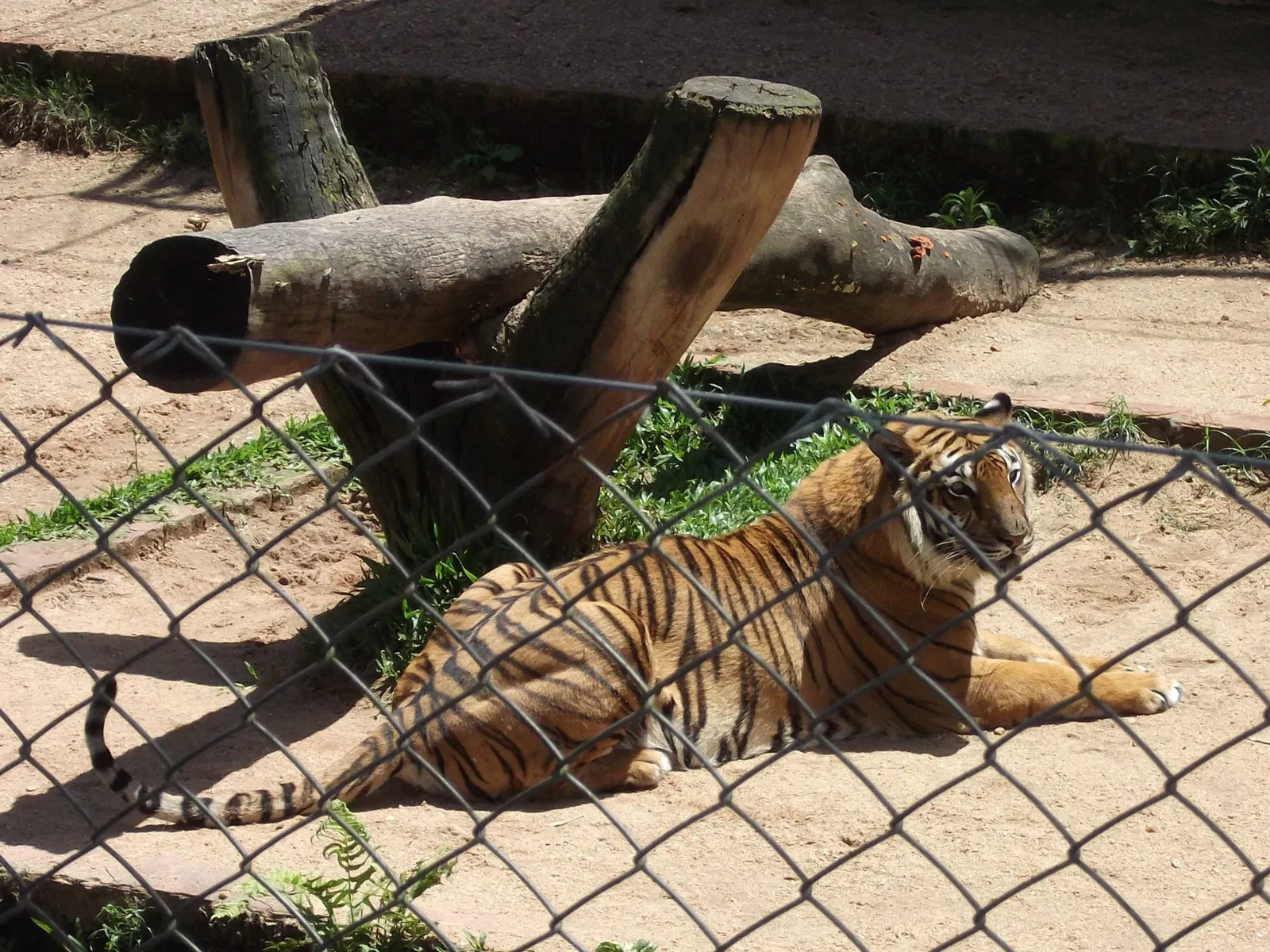Park Zoo Sapucaia do Sul