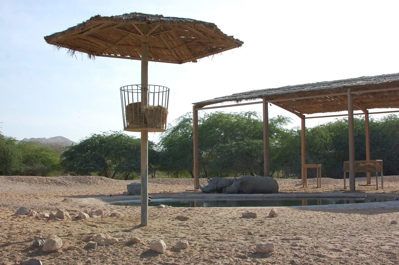 Zoo Al Ain