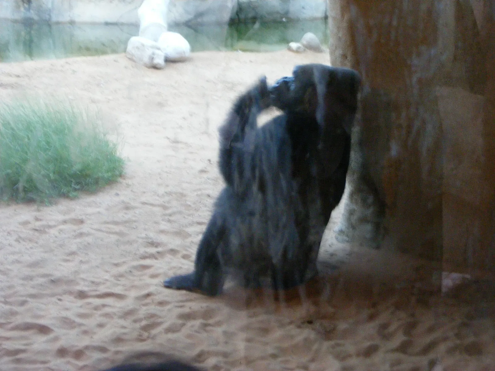 Al Ain Zoo