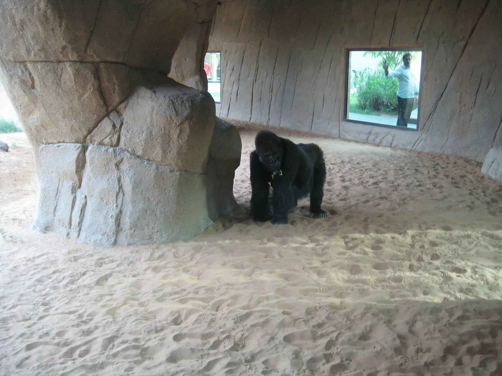 Zoo Al Ain