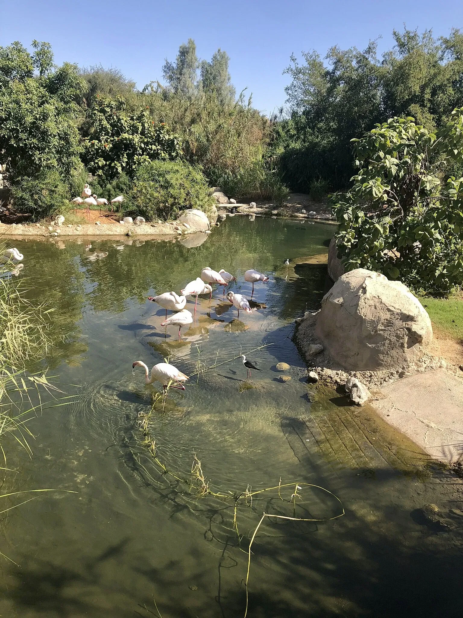 Al Ain Zoo