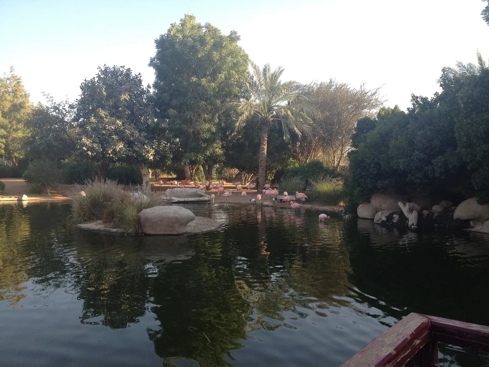 Zoológico de Al Ain