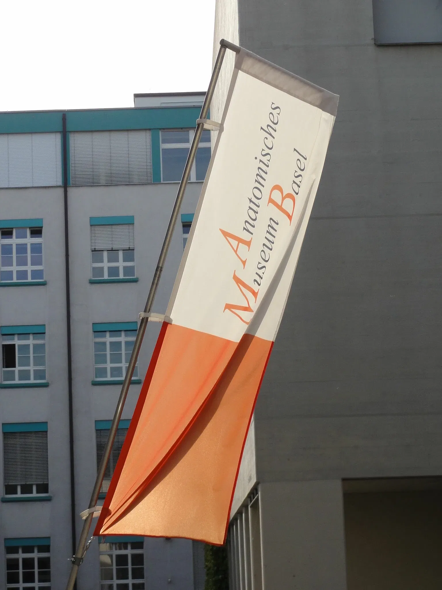 Anatomical Museum of the University of Basel