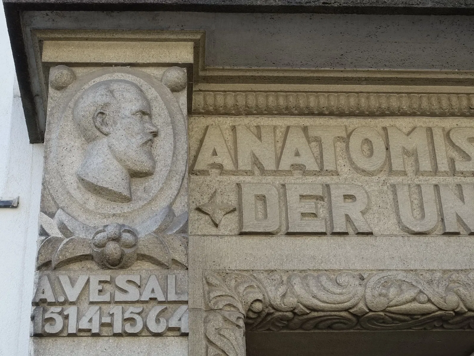 Anatomisches Museum der Universität Basel