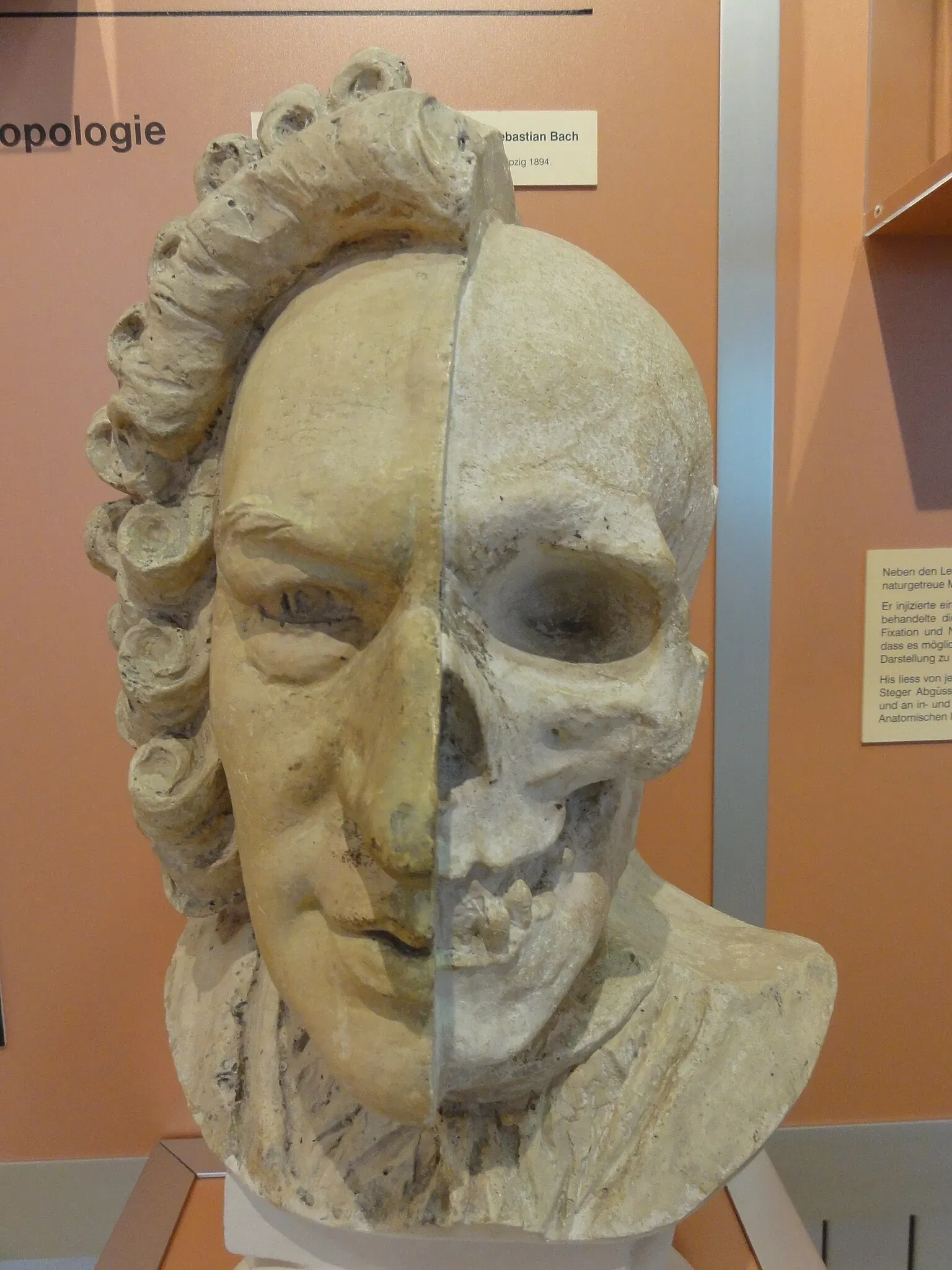 Anatomisches Museum der Universität Basel