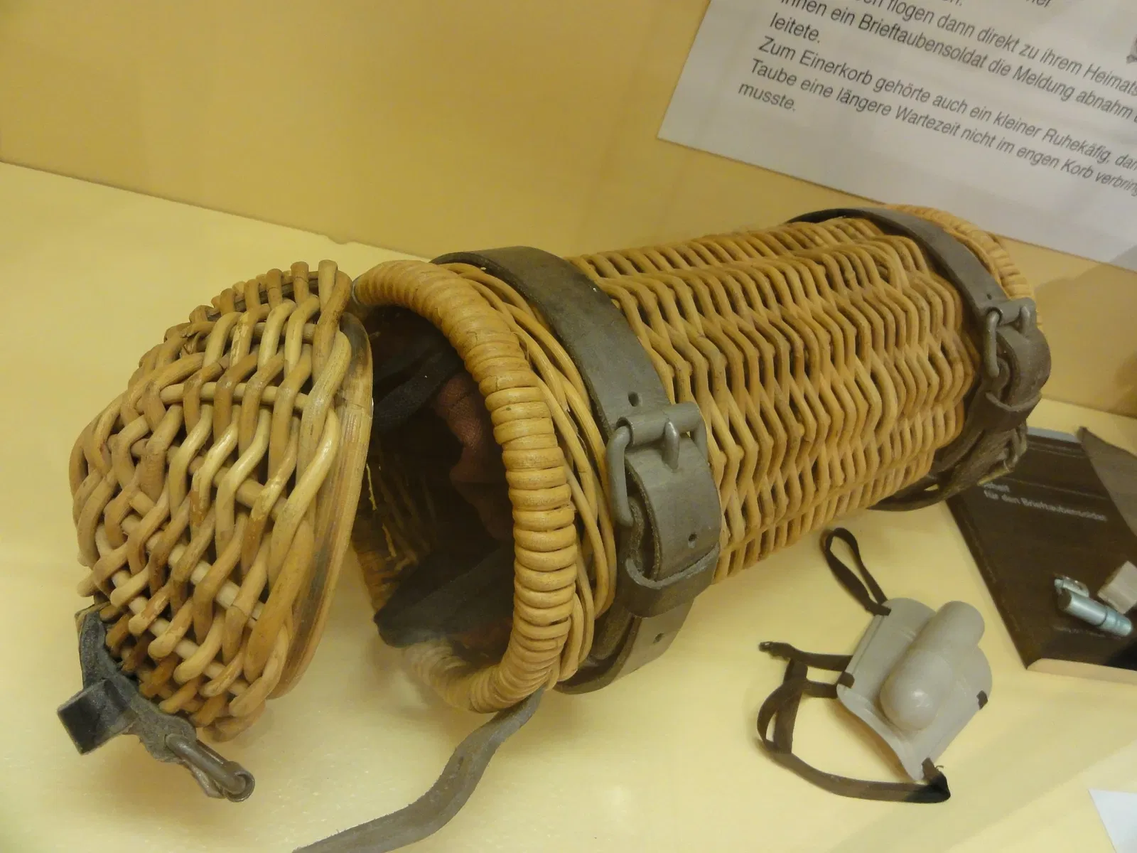 Anatomical Museum of the University of Basel