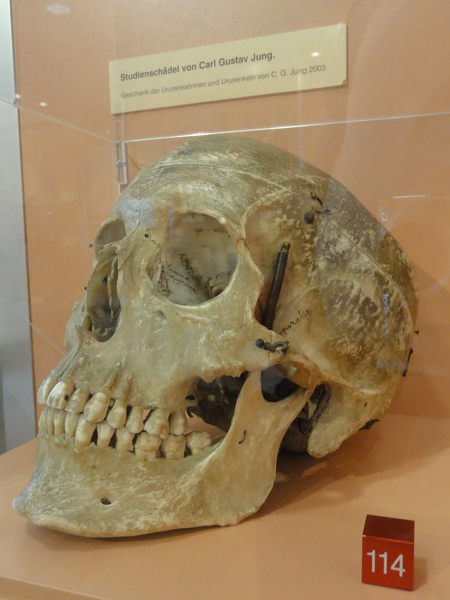 Anatomical Museum of the University of Basel