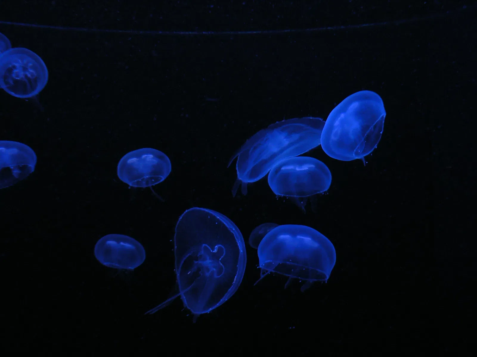 Zoológico de Basilea