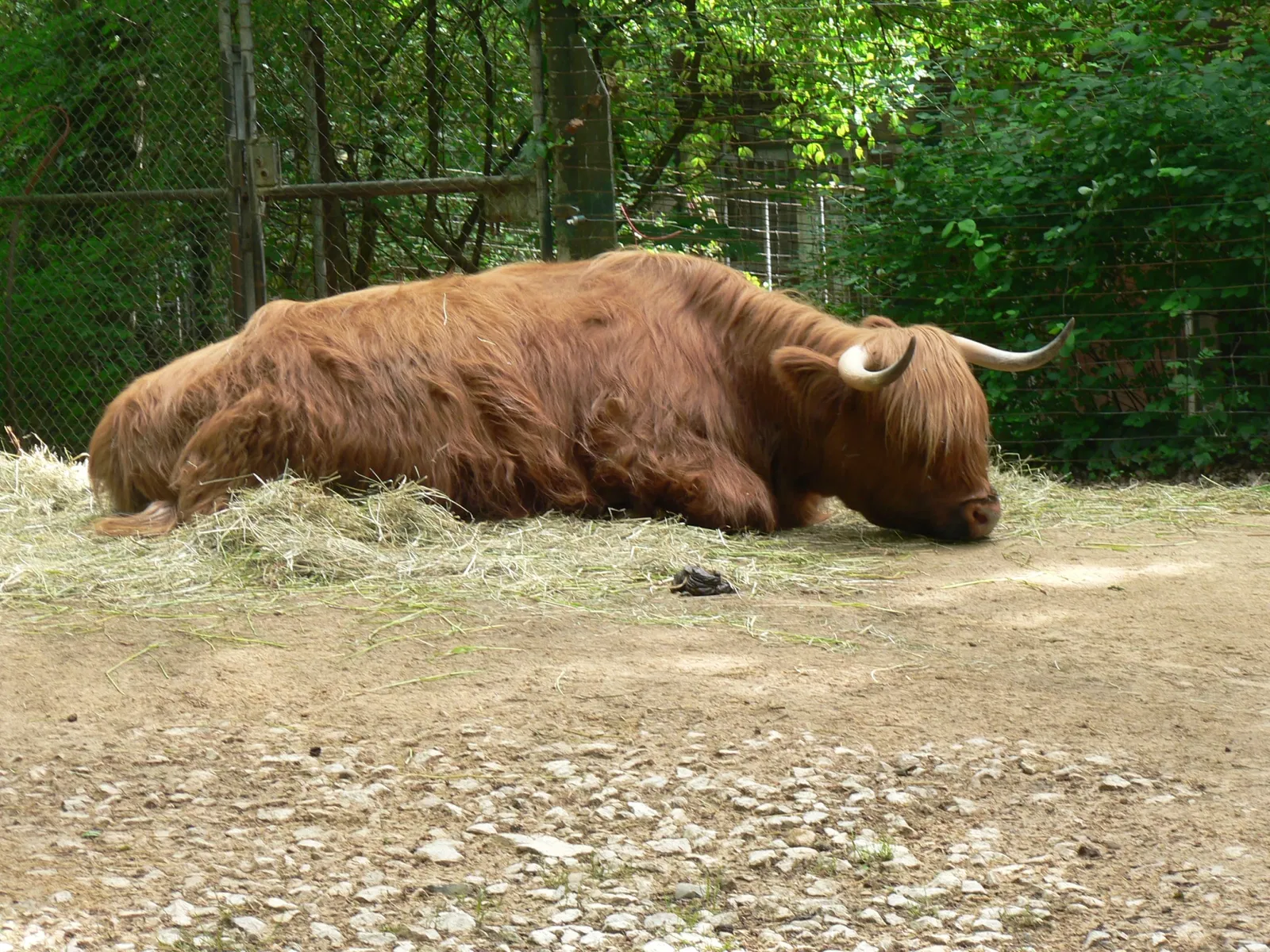 Zoológico de Basilea