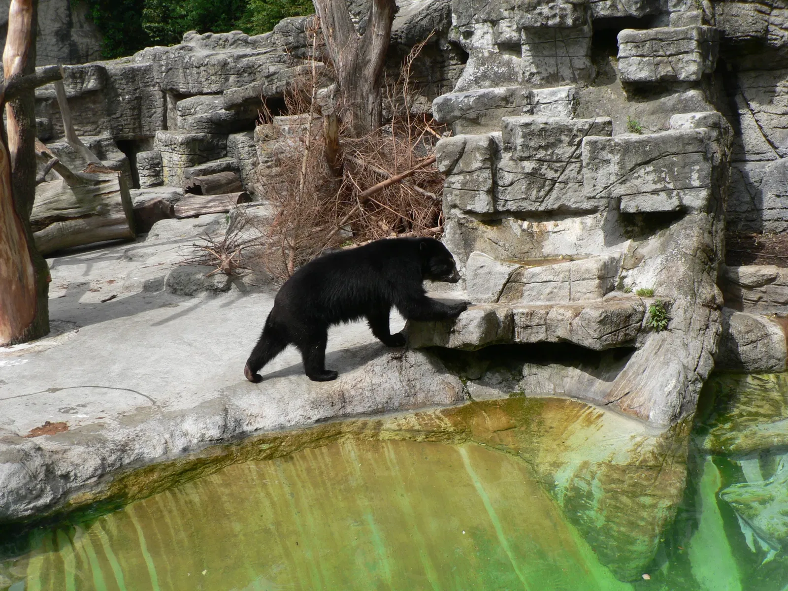 Zoológico de Basilea
