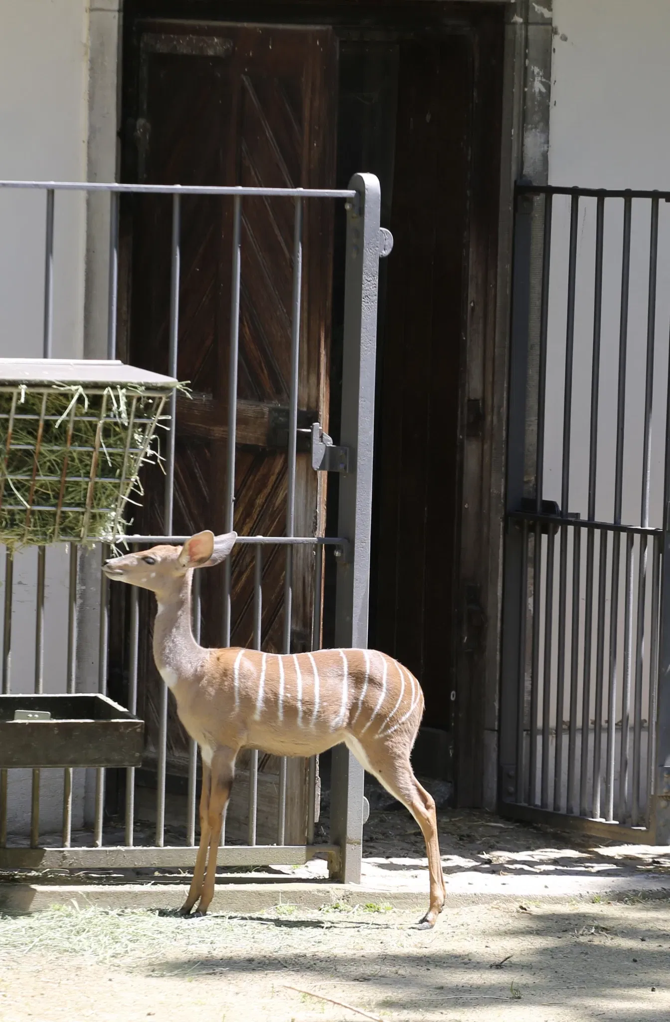 Zoológico de Basilea