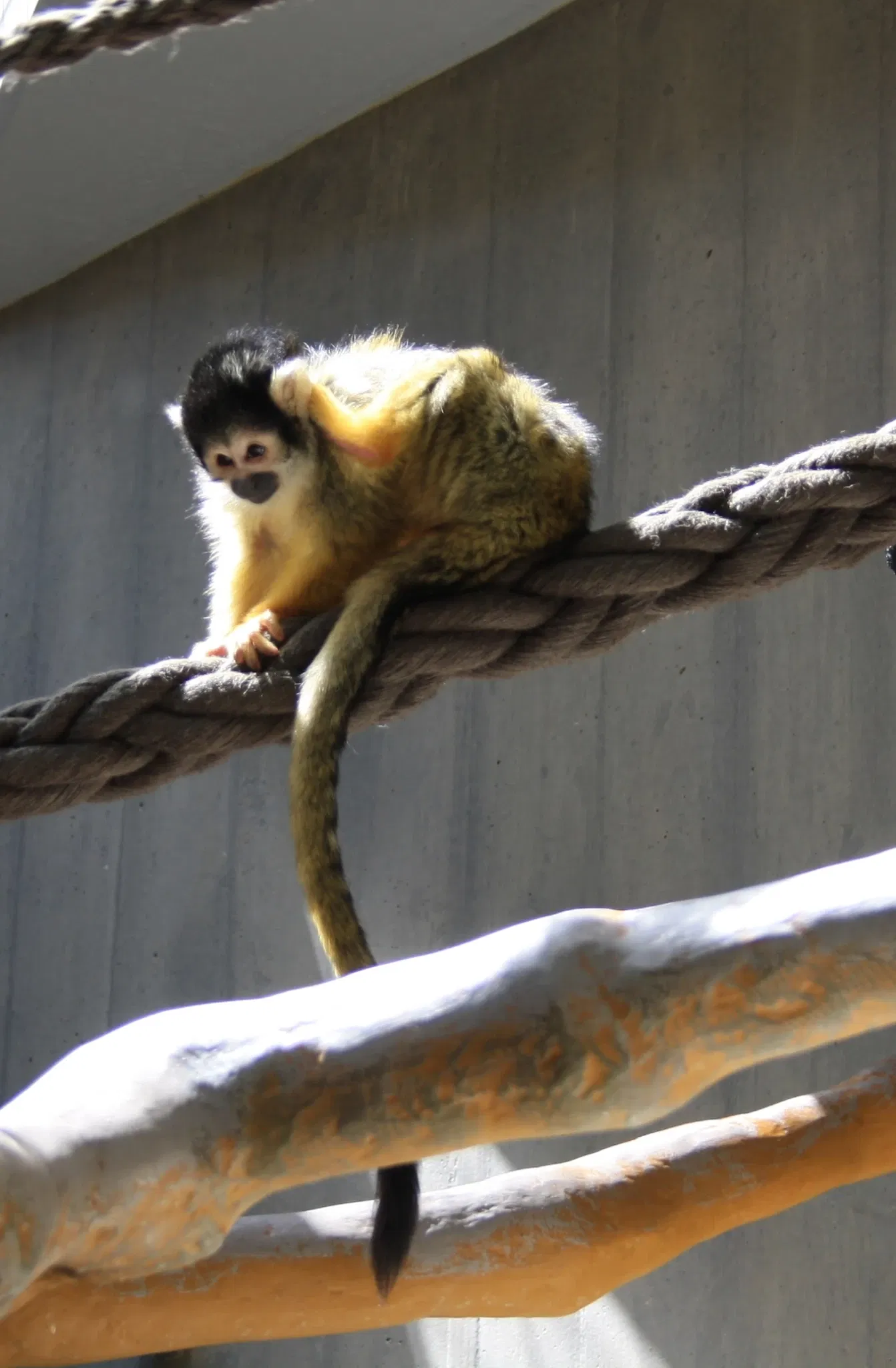 Zoológico de Basilea