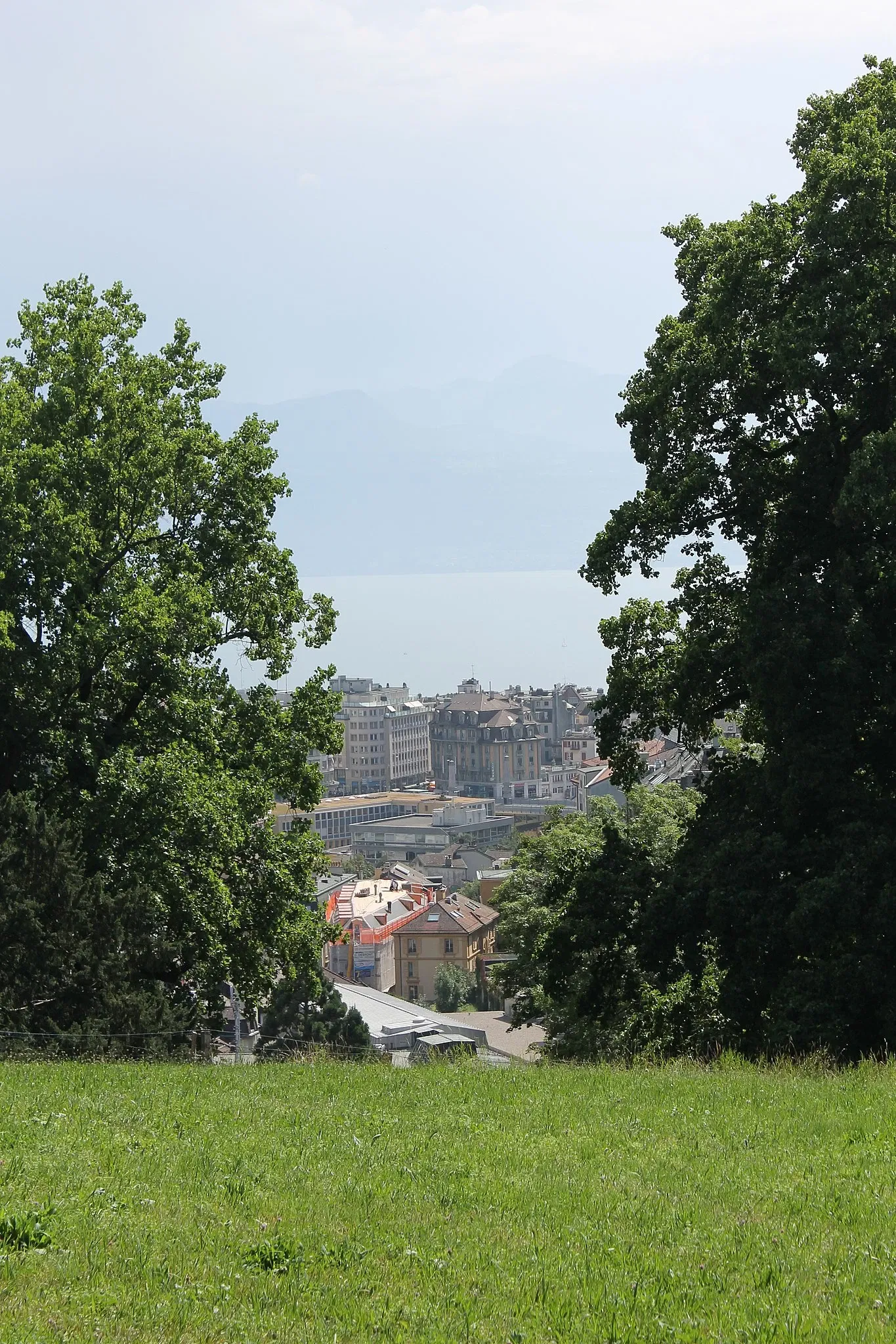 Hermitage Foundation