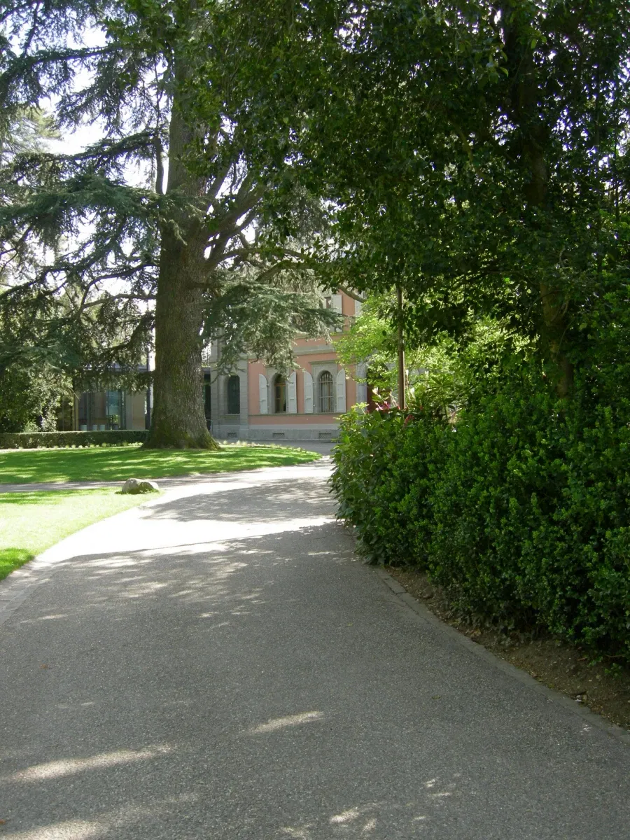 Hermitage Foundation