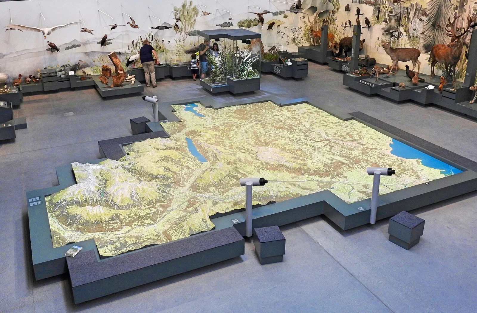 Naturmuseum St. Gallen