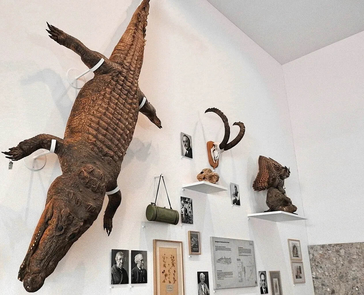 Natural History Museum St. Gallen