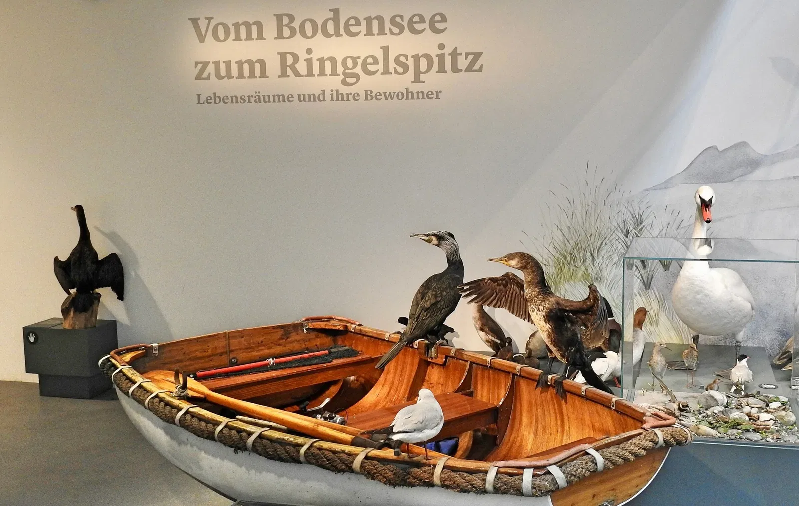 Naturmuseum St. Gallen