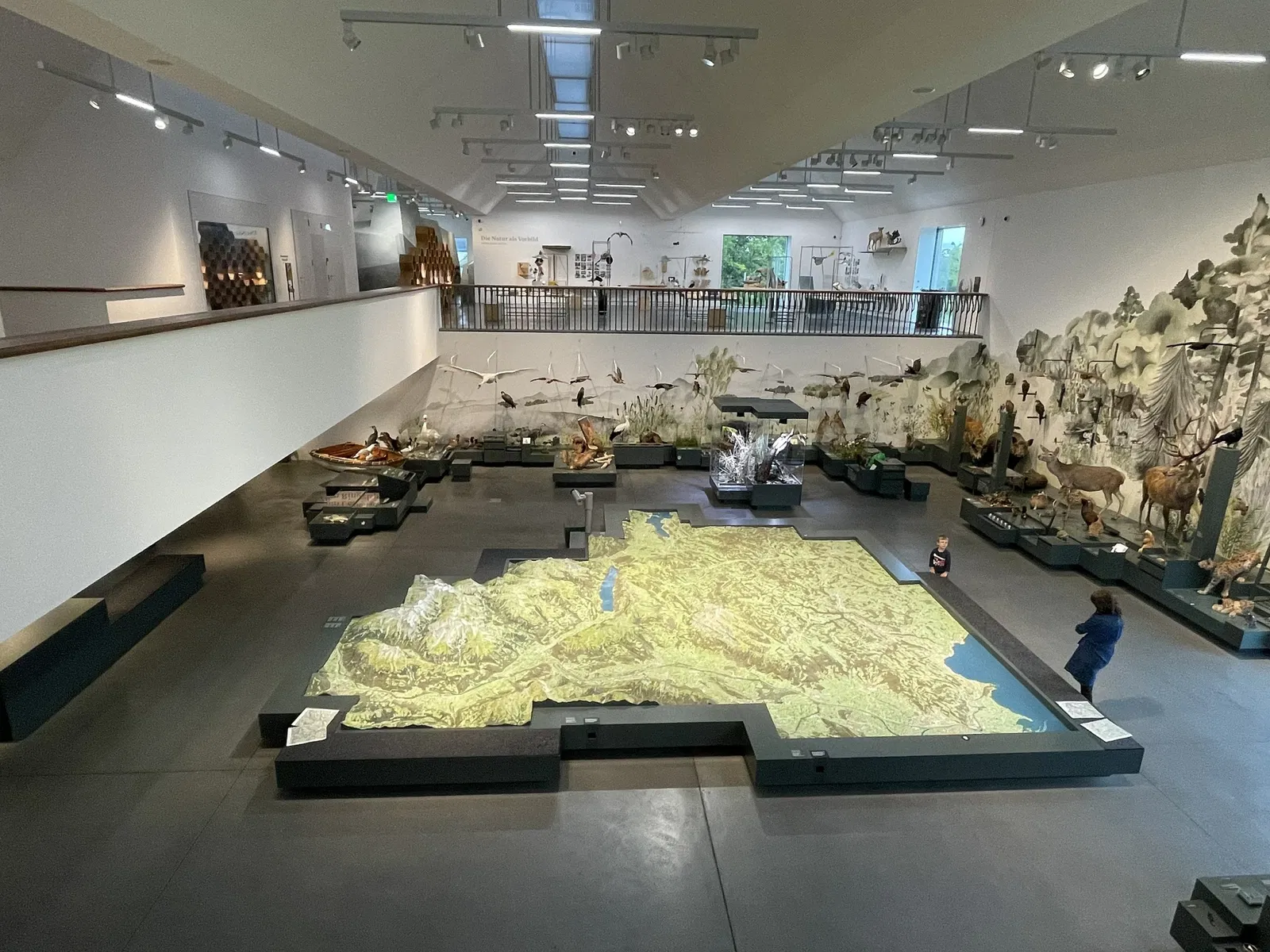 Natural History Museum St. Gallen