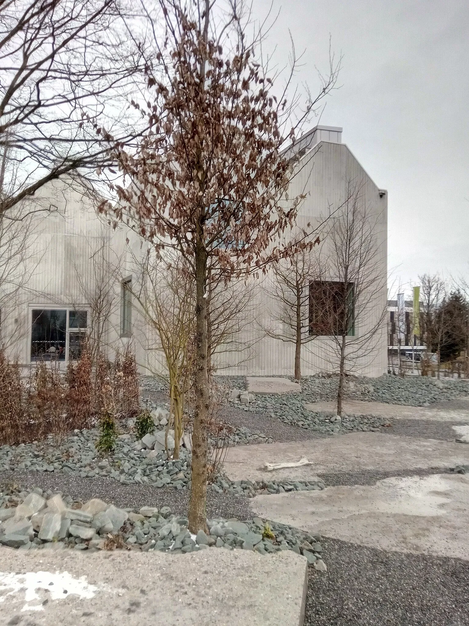 Naturmuseum St. Gallen