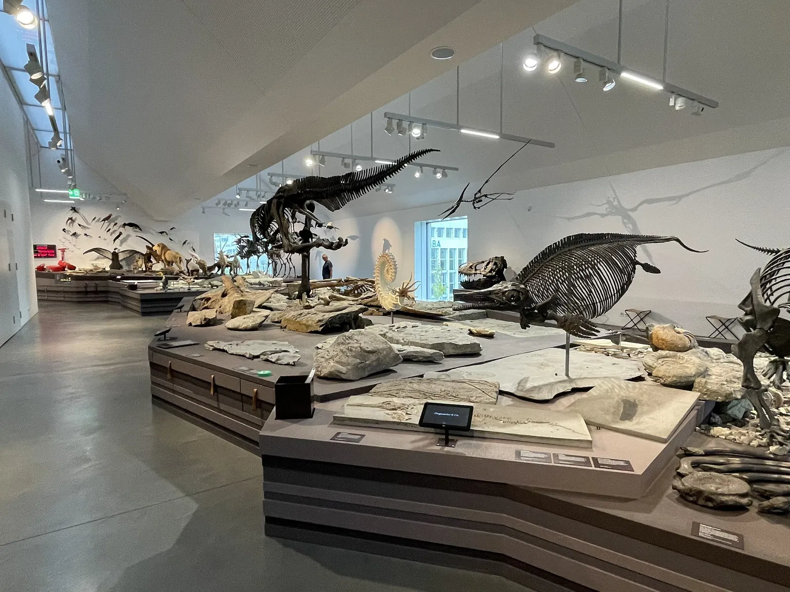 Naturmuseum St. Gallen